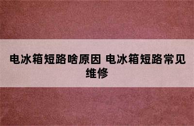 电冰箱短路啥原因 电冰箱短路常见维修